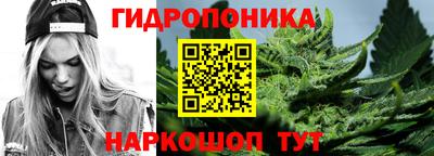 спиды Шахты