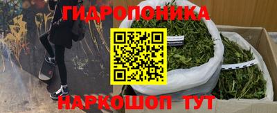 спиды Шахты