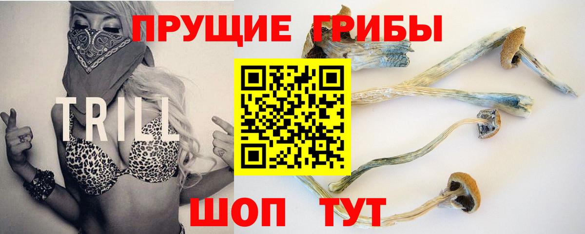 Галлюциногенные грибы Psilocybine cubensis Людиново